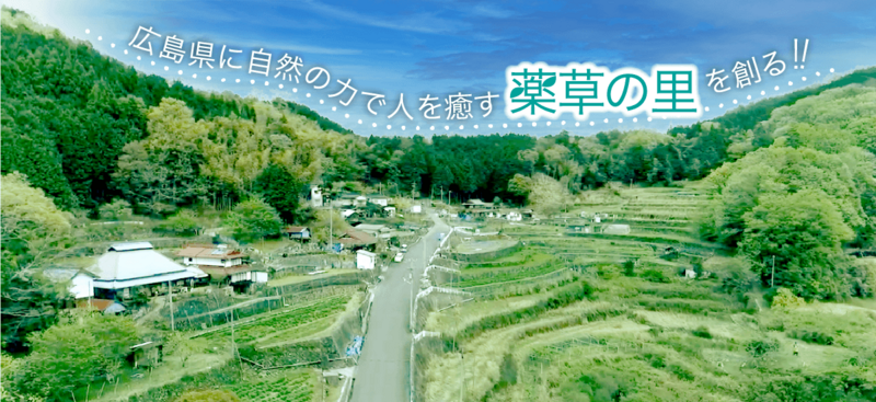薬草 薬草