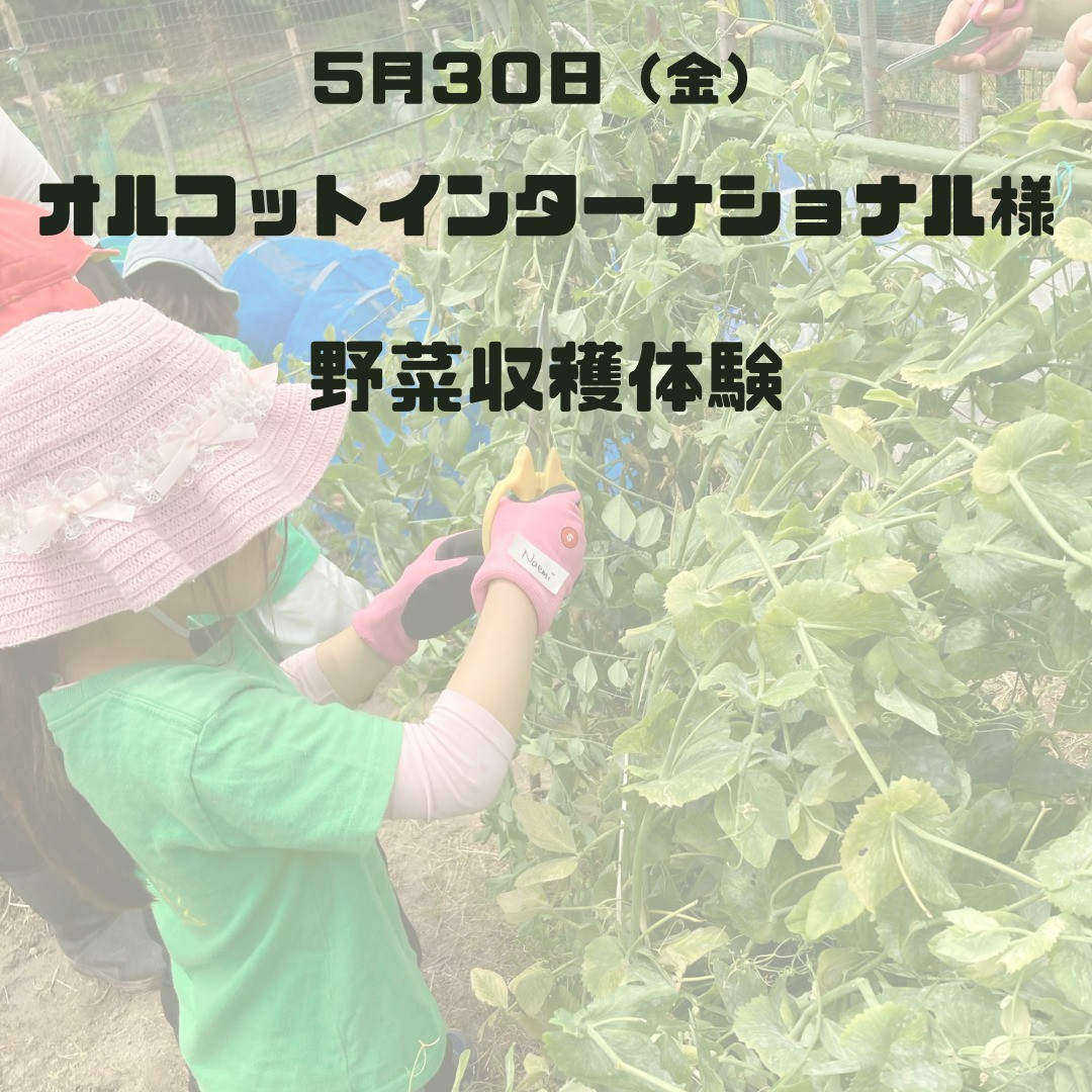 オルコットインターナショナルスクール