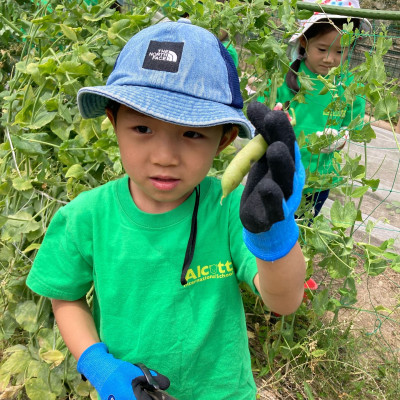 502773127_18465229663073255_6771064694796463510_n